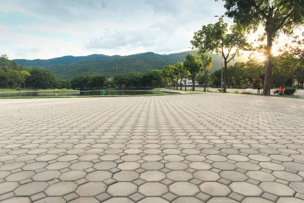 Best Driveway Pavers Near Me  in Deville, AL